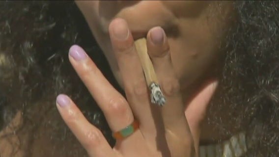 Chicago suburb proposes concert series where attendees could legally smoke weed
