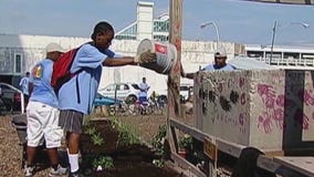 One Summer Chicago now hiring youth job applicants