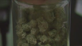 RISE dispensary workers go on strike ahead of 4/20