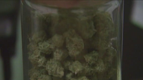 RISE dispensary workers go on strike ahead of 4/20