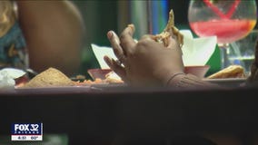 Kane County looks to allow patio dining with pets