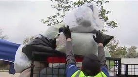 Brookfield Zoo hosts 'Party for the Plant' recycling event, Earth Day Fun Run