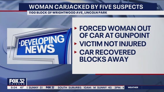 Woman carjacked at gunpoint by 5 suspects on Chicago's North Side