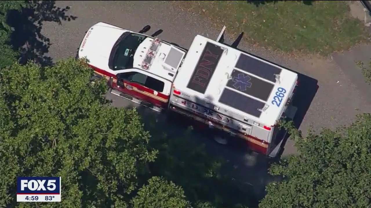 82-year-old woman assaulted in Central Park | FOX 5 New York