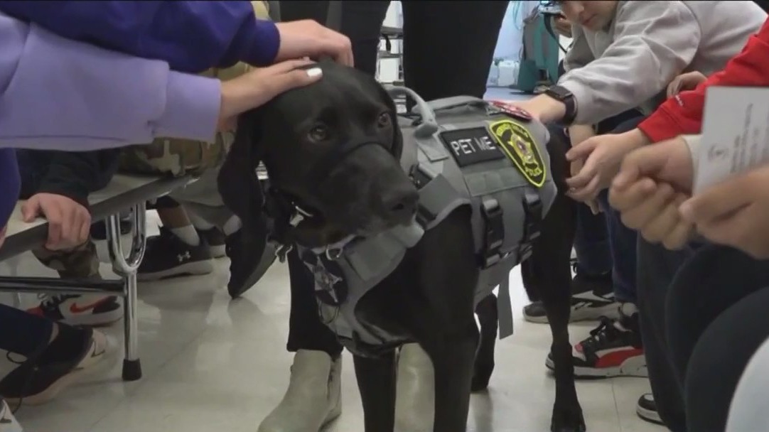 Vernon Hills students' essays lead to emotional support dog in police department