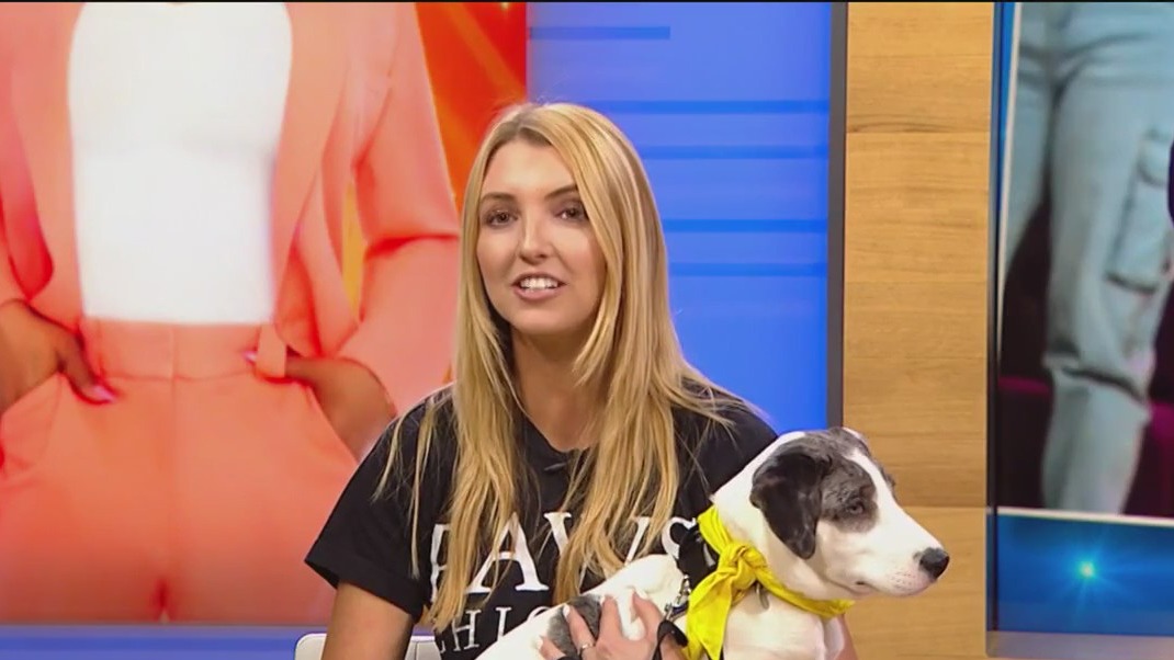 PAWS Chicago Animal Magnetism event to raise money for homeless pets