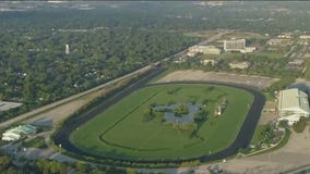 Bears file paperwork to demolish Arlington International Racecourse