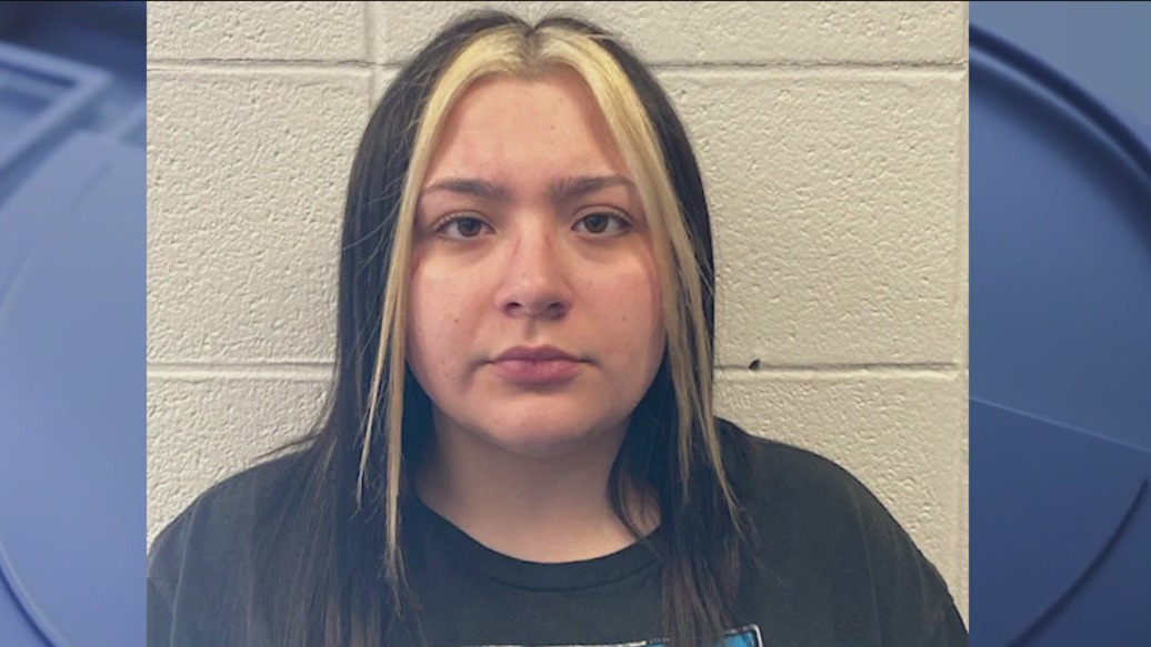 Teen charged with fleeing from police with man on car hood