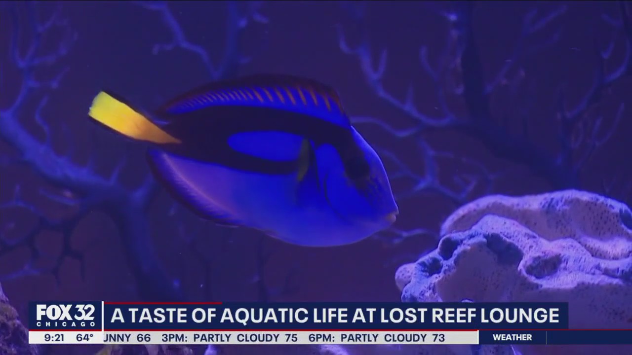 Better to eat with the fishes than sleep with them.