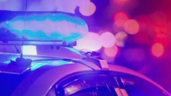 Woman run over, killed while teaching man to drive in Rogers Park parking lot