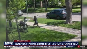 Suspect in baseball bat attacks is in custody: police