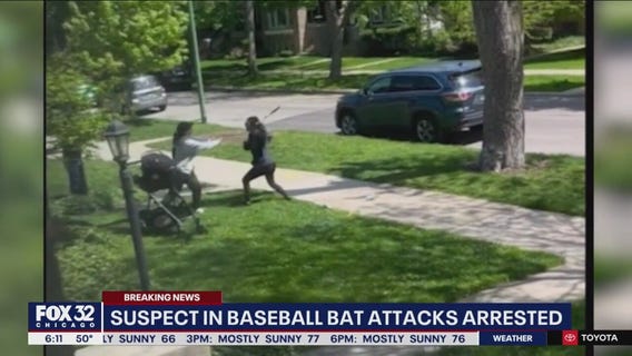 Suspect in baseball bat attacks is in custody: police