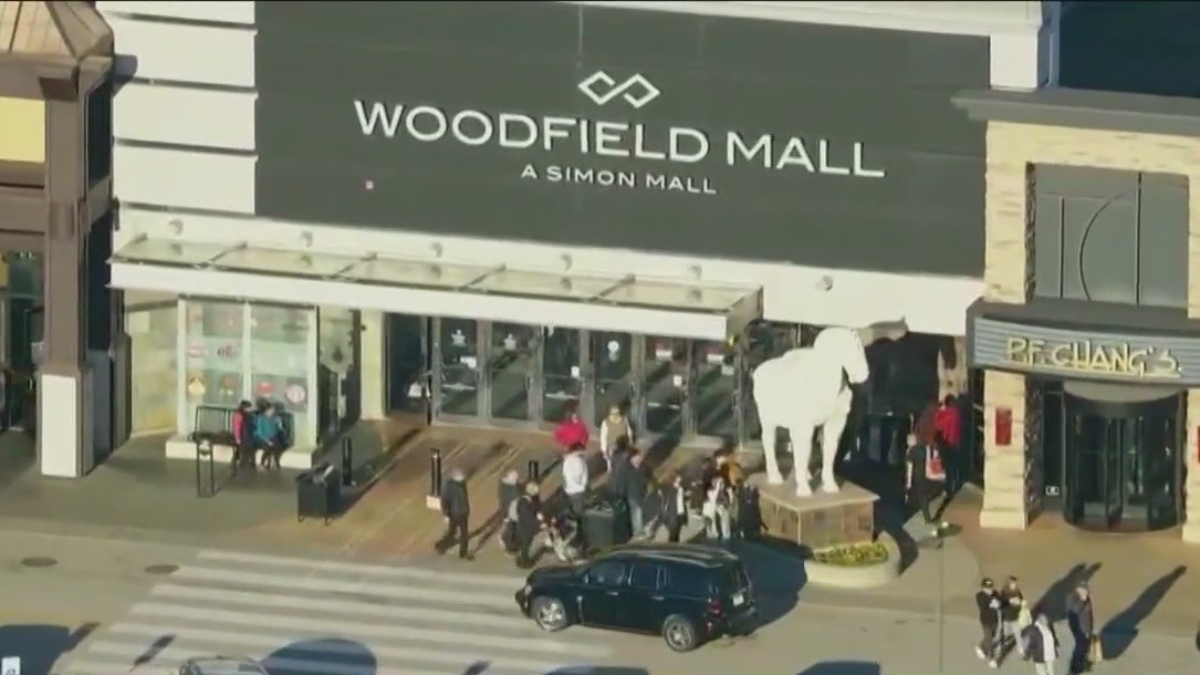 Woman pulls out gun at Chicago Premium Outlets Mall, causing 'fear and panic'
