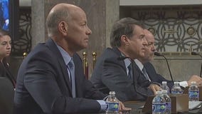 Bank execs blame panicked depositors for failures, but senators blame them