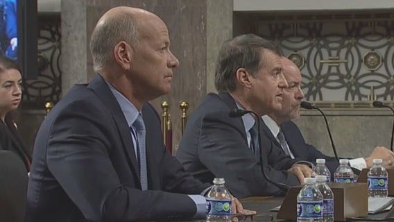 Bank execs blame panicked depositors for failures, but senators blame them