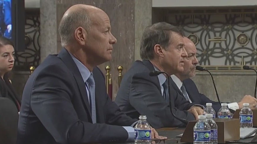 Bank execs blame panicked depositors for failures, but senators blame them