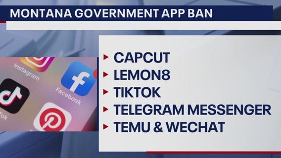 New bans raise concerns about America's addiction to Chinese apps