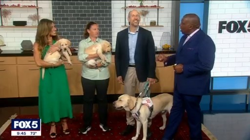 Living Colour, Guide dogs for the blind: Good Day Today