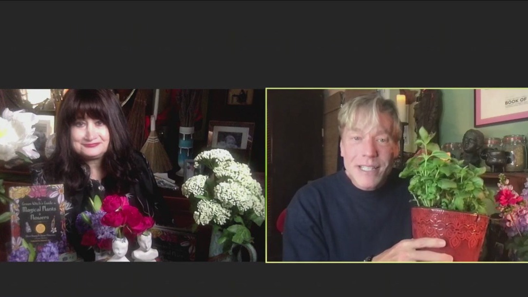 Unlock the Power of Plants: The health benefits and why you should embrace them