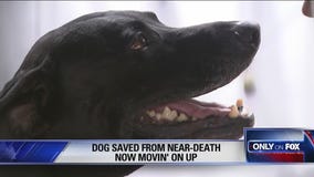 Fox 26 News Brief for Friday, September 28, 2018