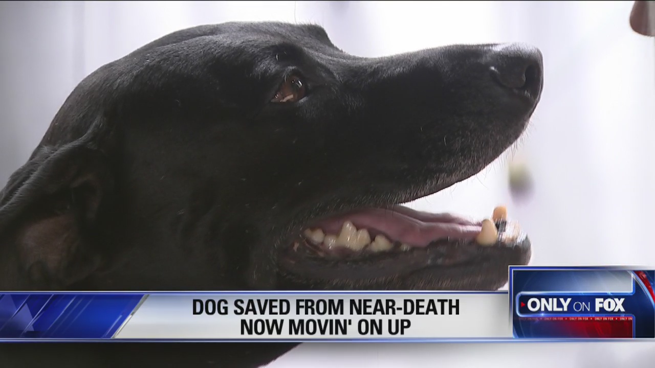 Fox 26 News Brief for Friday, September 28, 2018