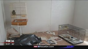 More than 100 birds rescued from Magnolia home