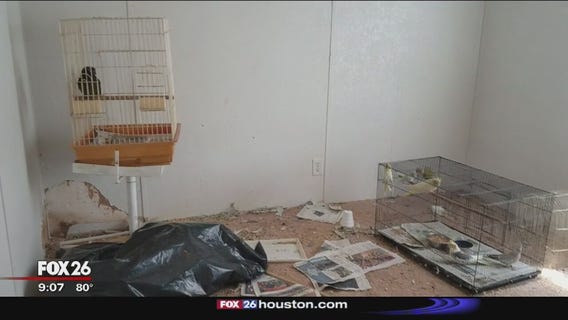 More than 100 birds rescued from Magnolia home