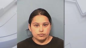 Roselle woman charged with animal cruelty after 12 dogs found in 'heartbreaking' conditions