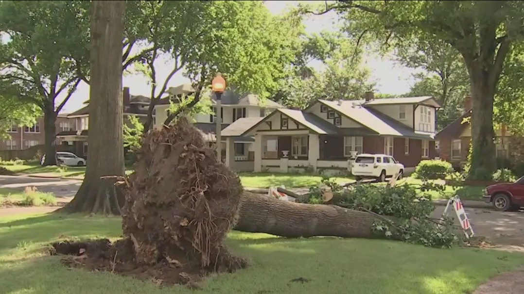 Heat wave triggers big storms, power outages in US Southeast