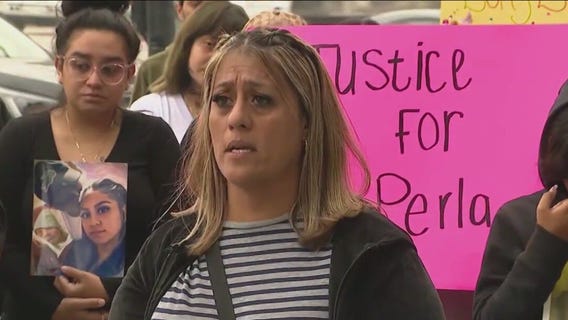 Family of woman killed in hit-and-run on I-55 pleads for answers