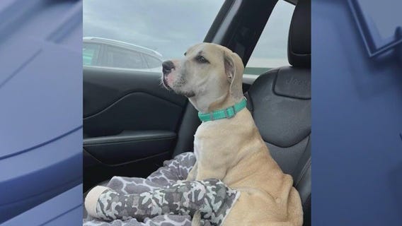 Tiny N Tall community event Saturday in Aurora