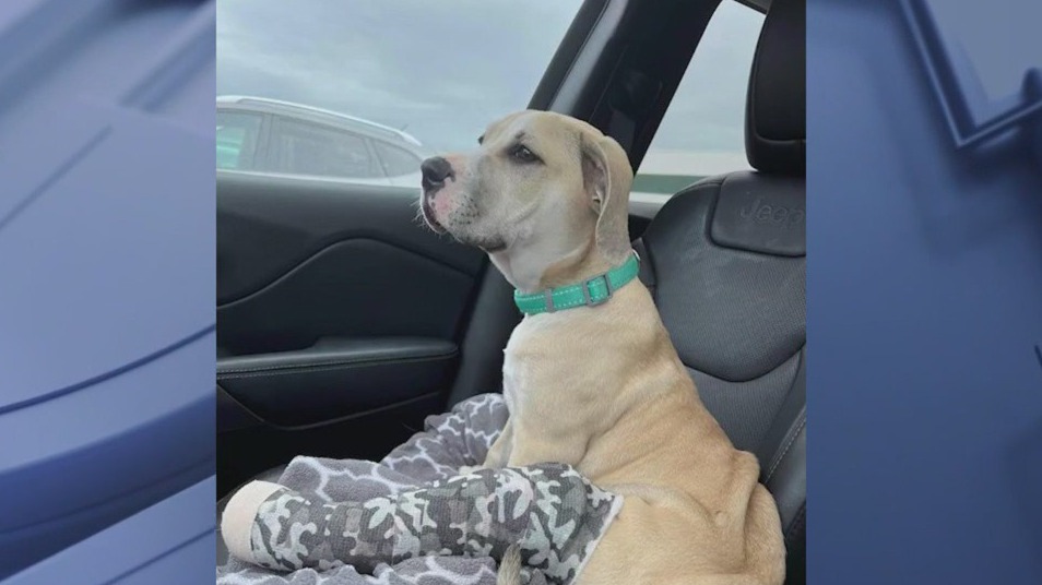 Tiny N Tall community event Saturday in Aurora