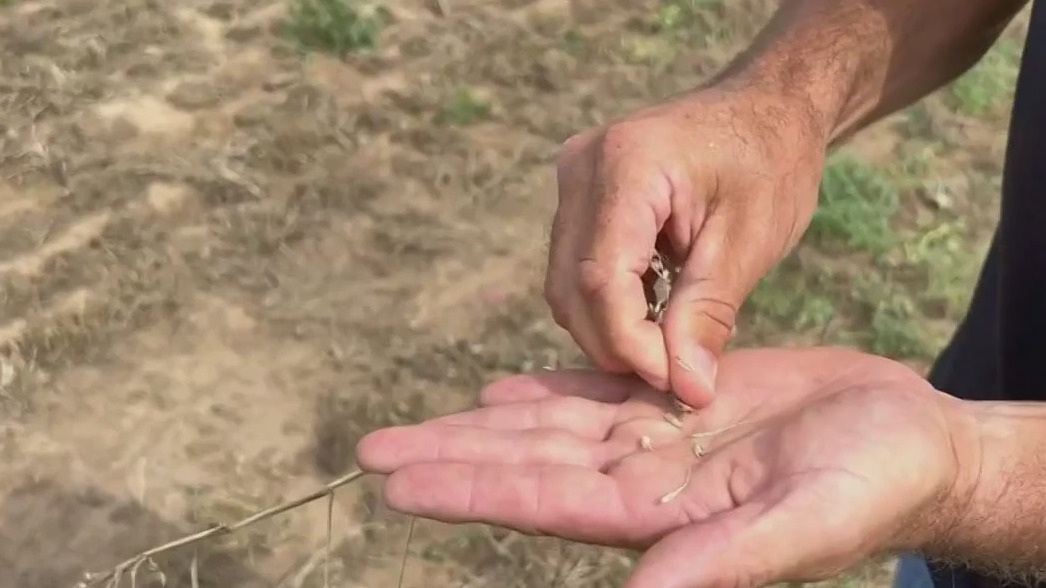 Chicago chefs raise funds to support farmers amid drought