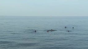 Cook County man drowns trying to help children in Lake Michigan