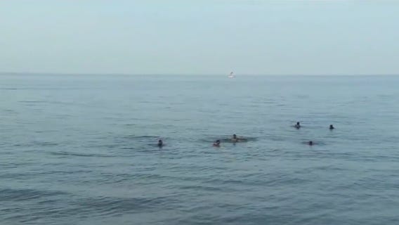 Cook County man drowns trying to help children in Lake Michigan