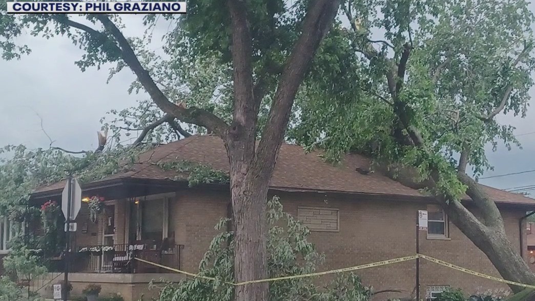 Storm takes down trees in Chicago's East Side neighborhood