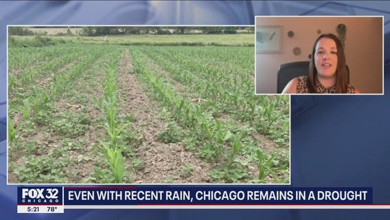 Even with recent rain, Chicago remains in a drought