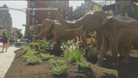 The Great Elephant Migration