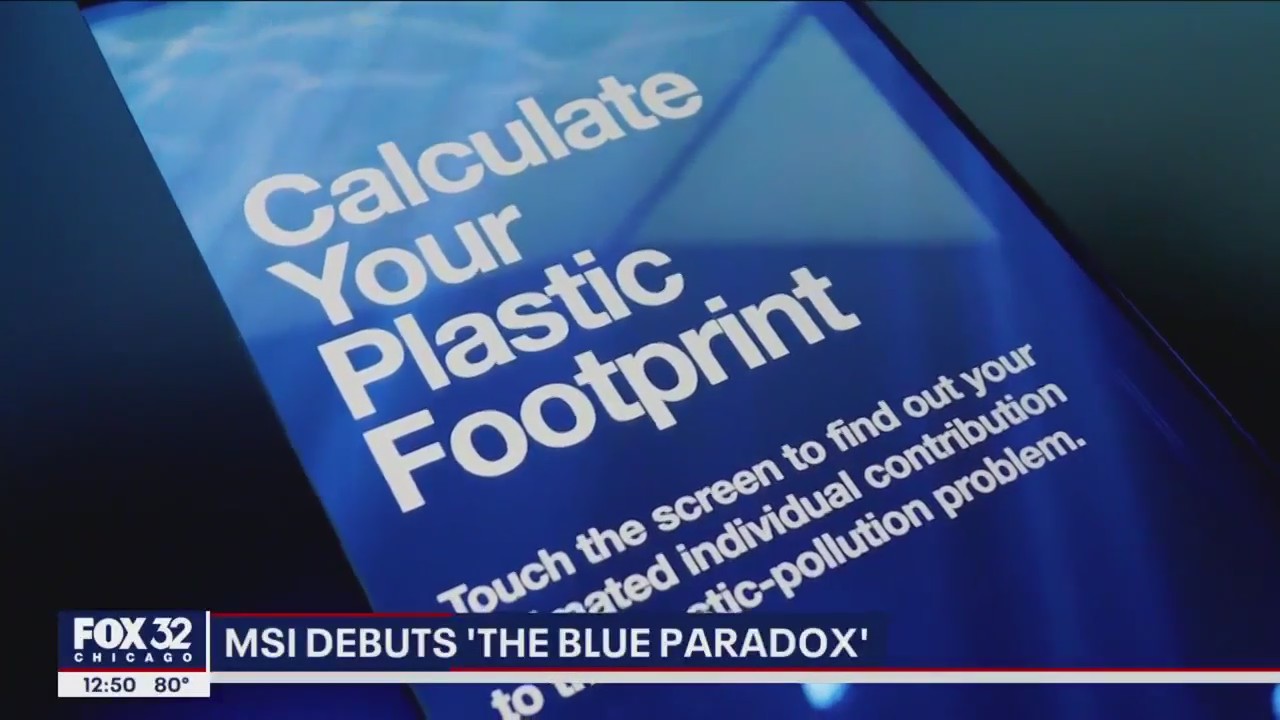 A new exhibit at the Museum of Science and Industry dives deep into the plastic pollution problem in our oceans.