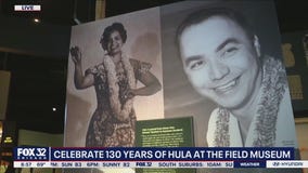 The history of Hula in Chicago goes back to the 1800s
