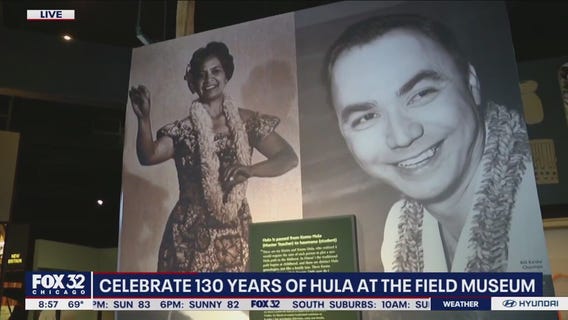 The history of Hula in Chicago goes back to the 1800s