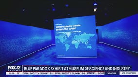 The Blue Paradox exhibit points out the problem of plastic pollution in our oceans and offers some solutions