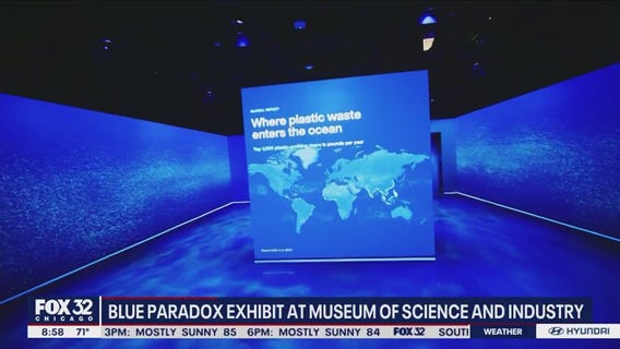 The Blue Paradox exhibit points out the problem of plastic pollution in our oceans and offers some solutions
