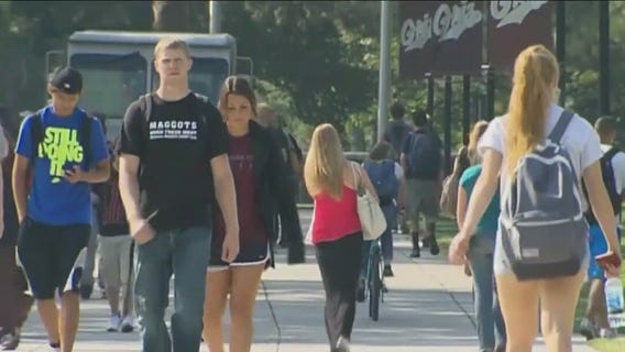 Four ways to approach paying off your student loans