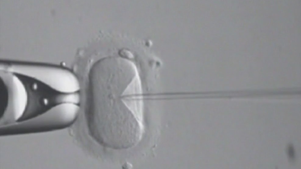 World IVF Day: What does the future of in vitro fertilization look like?