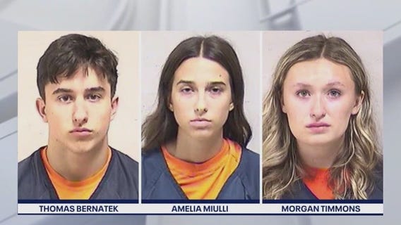Suburban teens charged with stealing $50K worth of music festival wristbands