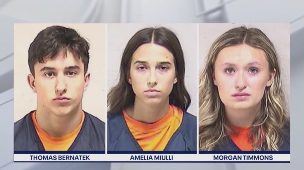 Suburban teens charged with stealing $50K worth of music festival wristbands