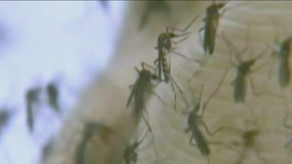 CDC tracking county's first cluster of Malaria cases
