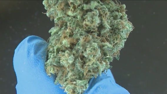 Chicago medical marijuana firm cancels $2 billion merger