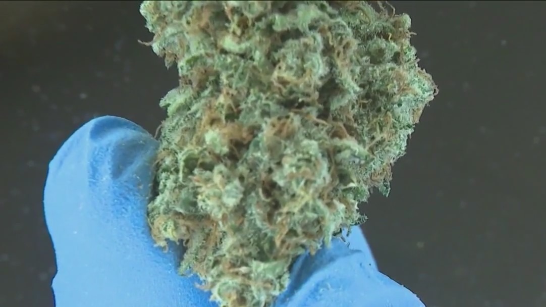 Chicago medical marijuana firm cancels $2 billion merger